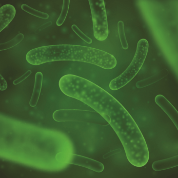 Benefits of ProBiotics